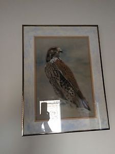 Wanted: Red tailed hawk art