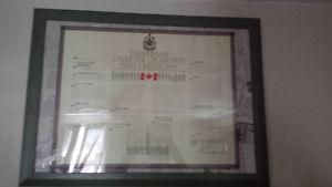 framed Canadian Charter of Rights and Freedoms