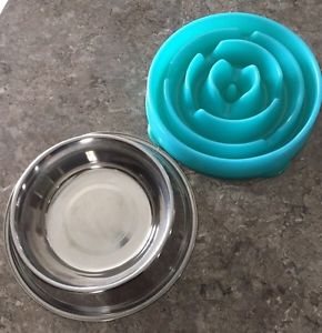 Dog slow feeder puzzle bowl and a stainless steel water bowl