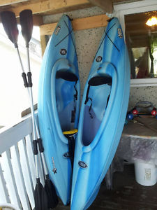 Kayak For Sale (Paddle Included)