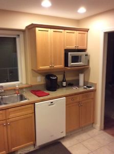Kitchen cabinets, sinks, countertops and appliances