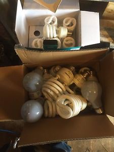 Light bulbs