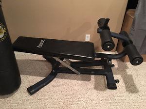 Progression Ab and weight bench