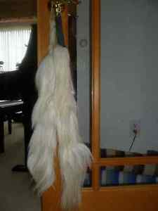 Selling 2 White Horses Tails
