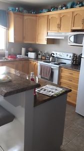 Stove