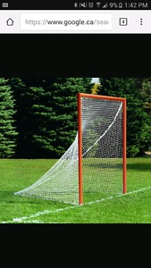 Wanted: Want-6x6 lacrosse net