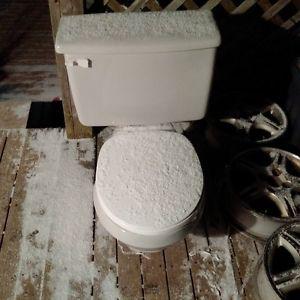 light grey toilet fully functional for free pick up