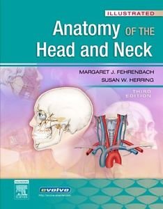 Anatomy OF THE Head and Neck