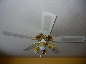 Ceiling fan with lights