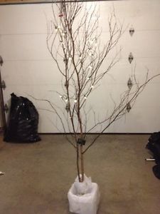 Decorative trees for sale