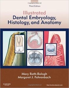 Dental Embryology, Histology, and Anatomy