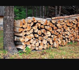 Firewood - Hardwood for sale