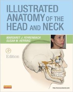 ILLUSTRATED ANATOMY OF THE HEAD AND NECK