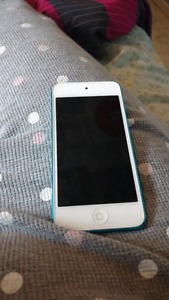 Ipod touch 5th gen 16 gig