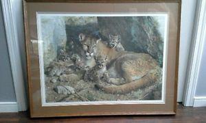 Rocky Camp Cougar Family Framed Signed Print by Carl