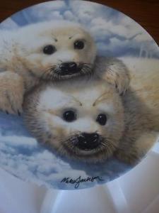 Collector's Dish - Baby Seals