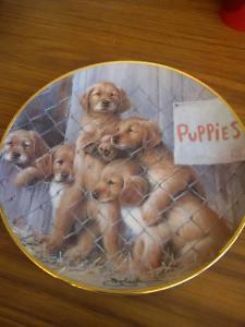 Collector's Dish - Puppies by ASPCA