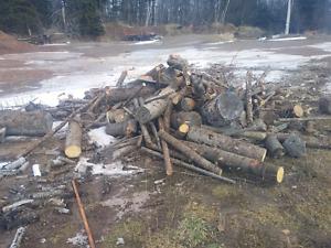 Pile of random length firewood softwood