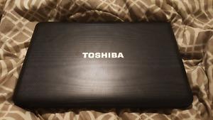 Toshiba Satellite Laptop (TouchPad doesn't work)