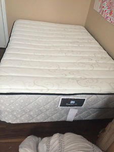 54" Sealy Posturepedic box spring and mattress with bed