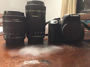 Canon t5i /  IS STM /  IS STM