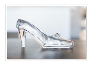 Cinderella acrylic shoe
