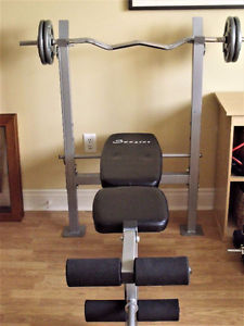 Exercise bench only - weights and bar SOLD