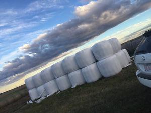 Hay for sale - Second cut alfalfa bales