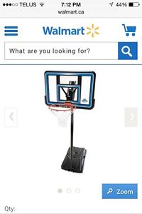 Portable Basketball Net