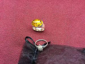 Sterling Silver Amber Ring and 925 Turtle Ring
