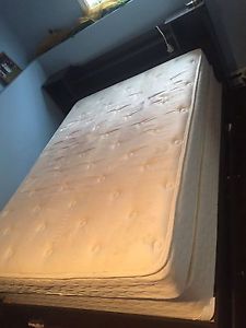 Bed, Mattress, and box spring for sale