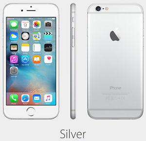Rogers iPhone 6 Silver 16GB