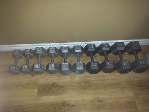 lbs dumbells