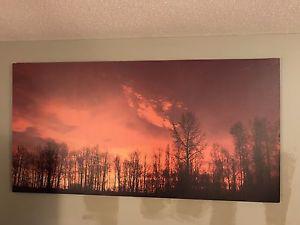 Extra Large Framed Canvas