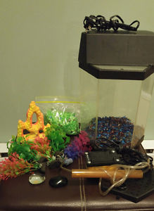 Fish Tank & Accessories