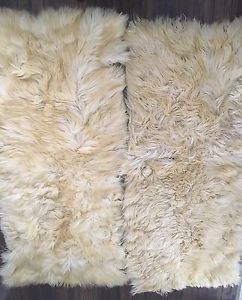 Sheep skin rugs