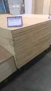 SPECIAL PURCHASE FIR PLYWOOD