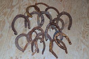 "Holly Horse Shoes !!! " Lots of Luck,