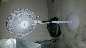 Oscillating electric fan