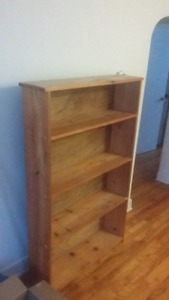 Pine shelf, bookcase