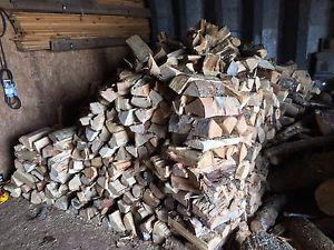 Split Poplar fire wood $400 per 2 cord