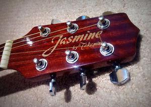 Takamine Jasmine Acoustic Electric - $235