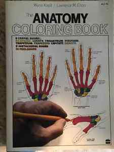 Anatomy Colouring Book