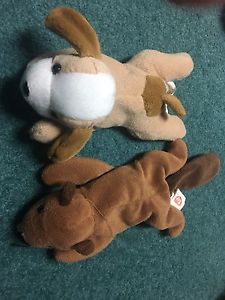 Beaver and puppy stuffed animals