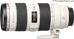 Canon EF mm f/2.8L IS USM