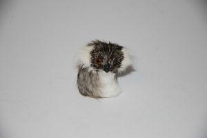 Cute tiny koala made of fur