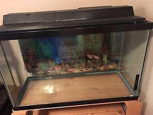 Fish Tank $125 OBO