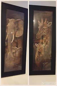 Framed animal prints