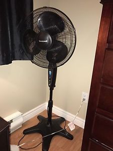 Honeywell Stand up oscillating fan - $25
