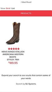 Men's Cowboy Boots